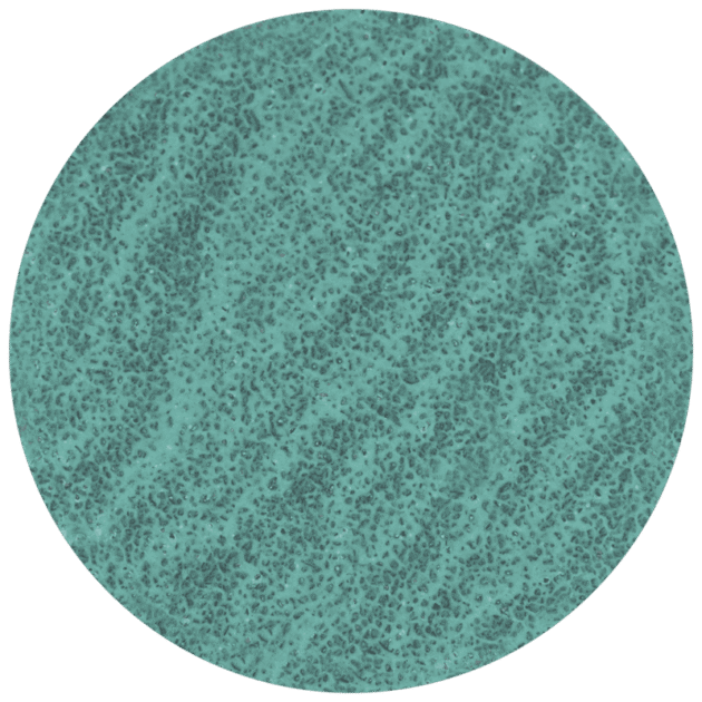 PREMIUM ZA-P48 PE X Y Quick-Change Scheibenel